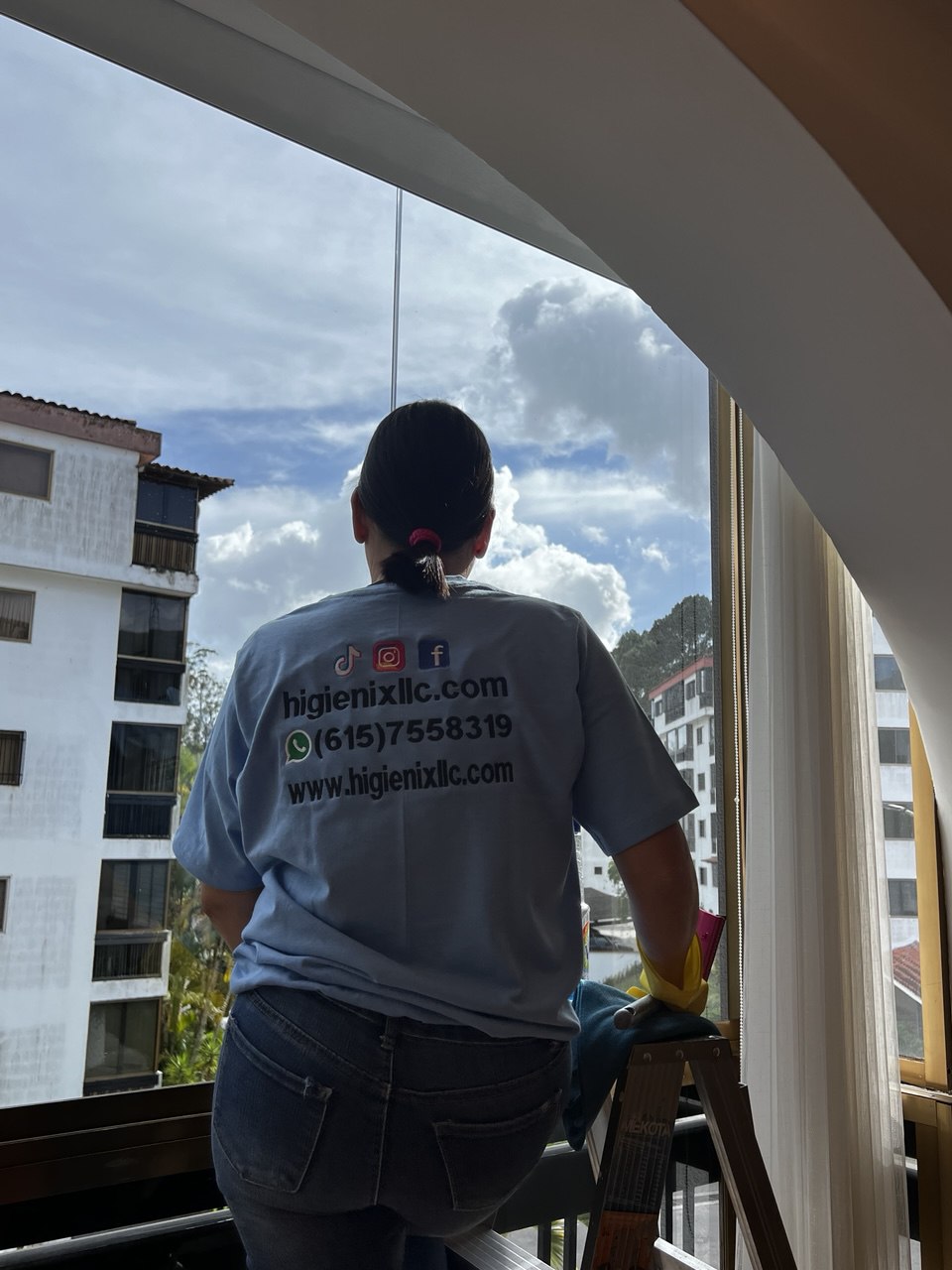 Deep carpet and upholstery cleaning